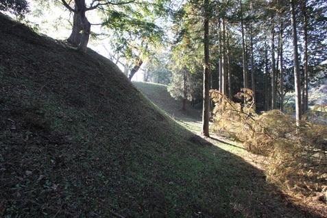 佐久山城