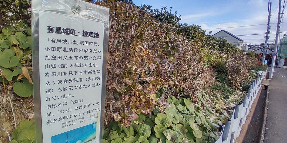 有馬城山