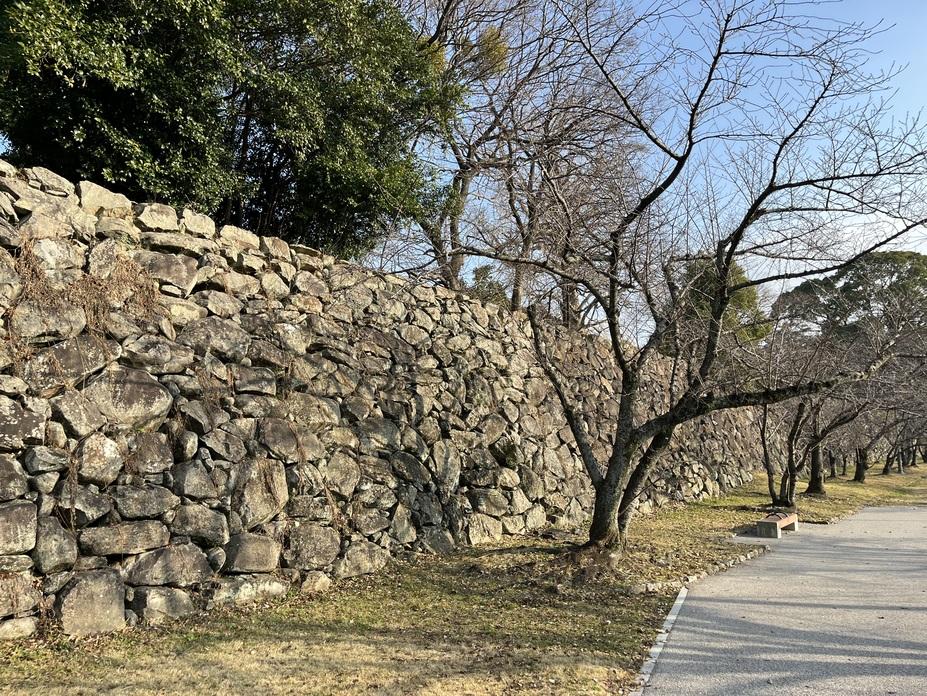 福岡城