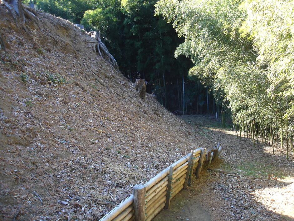 青鳥城