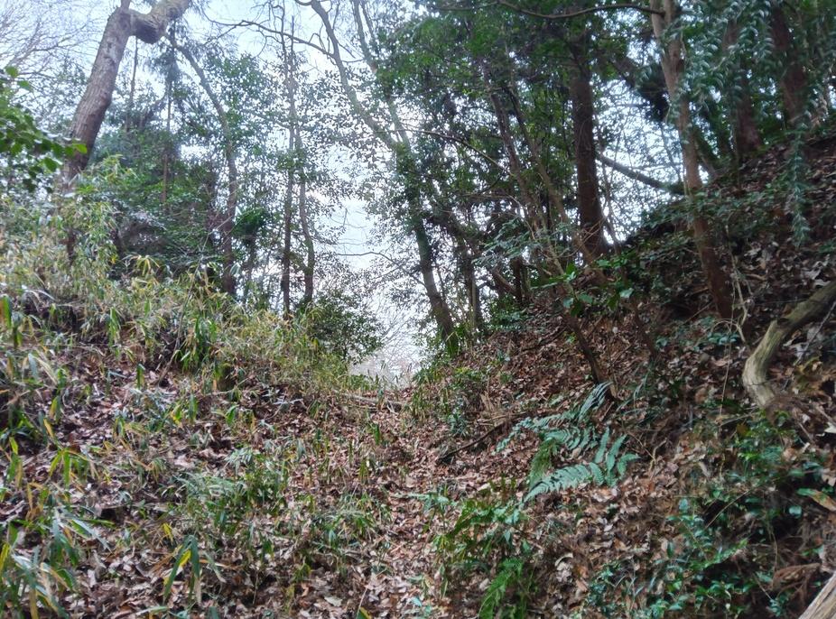 小笹丸城