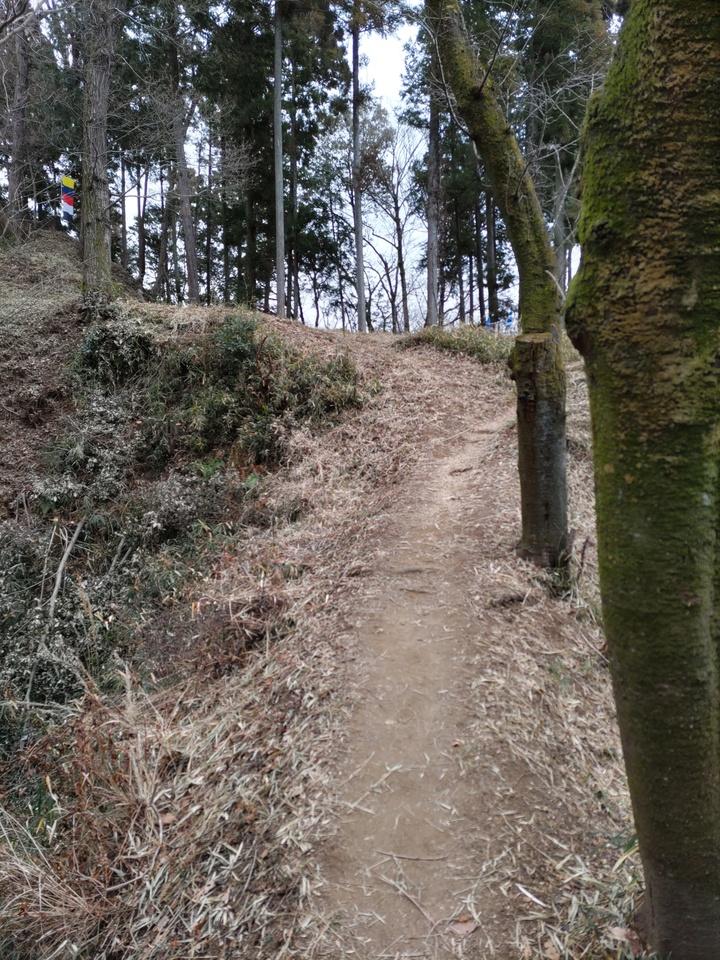 滝山城