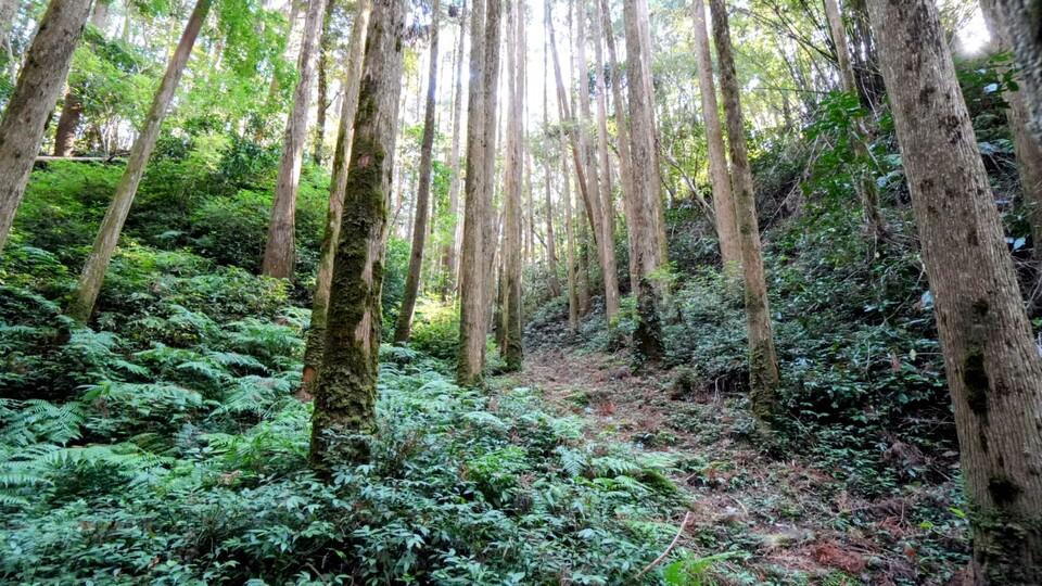 高山城