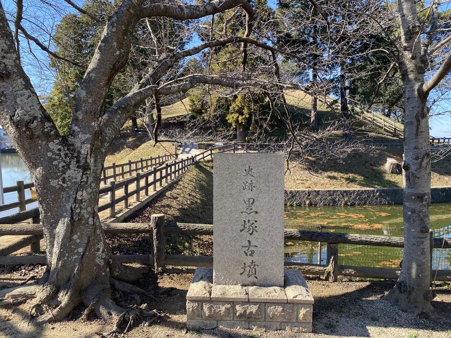 柳本城
