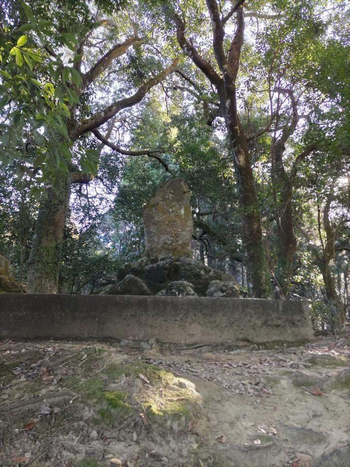 樺山城