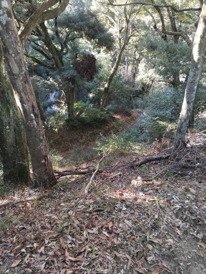 樺山城