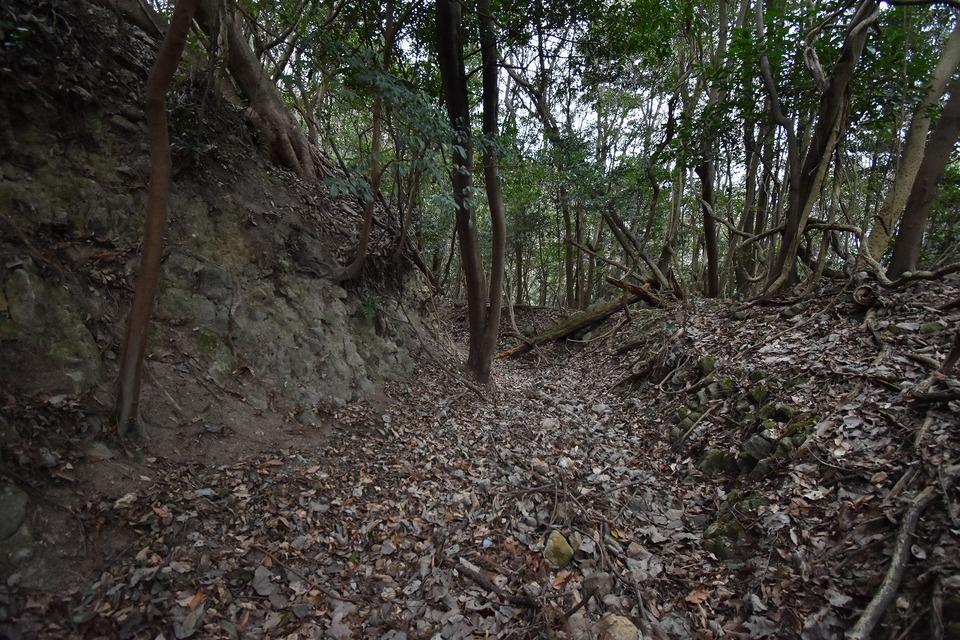 佐田城