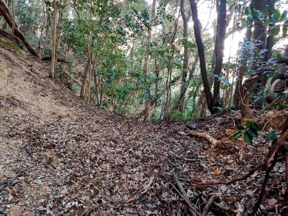 潮見城