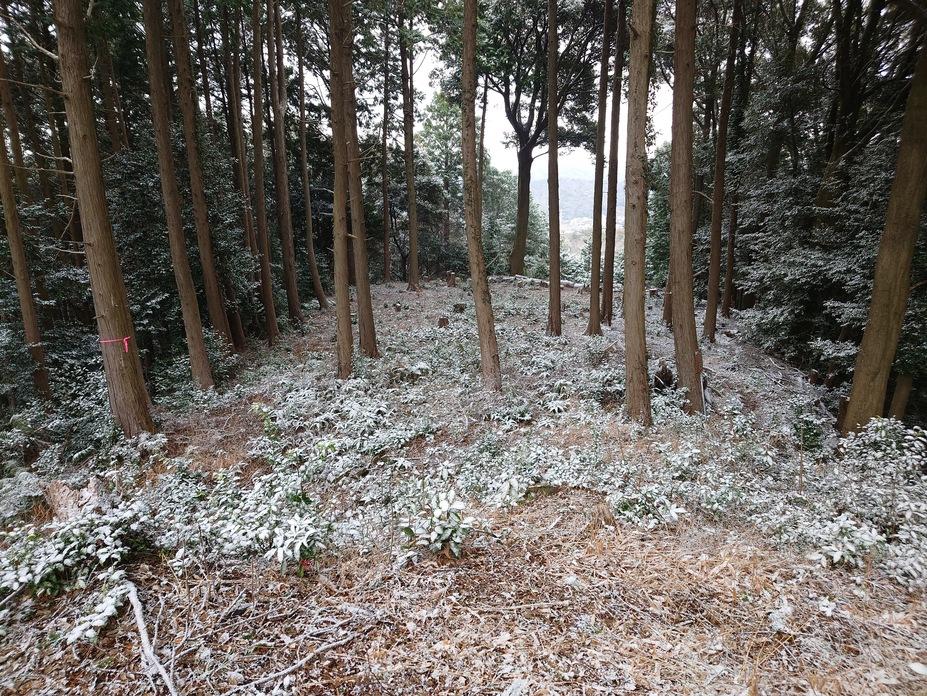 山中城