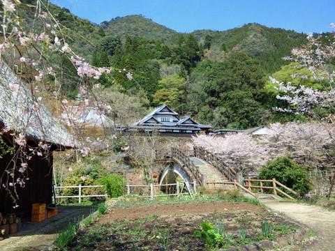 小川城