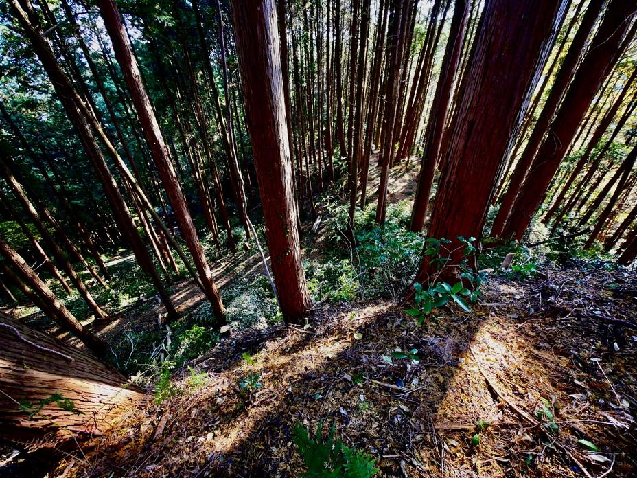 岩略寺城
