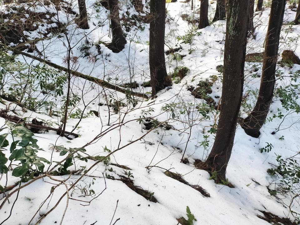 上関城