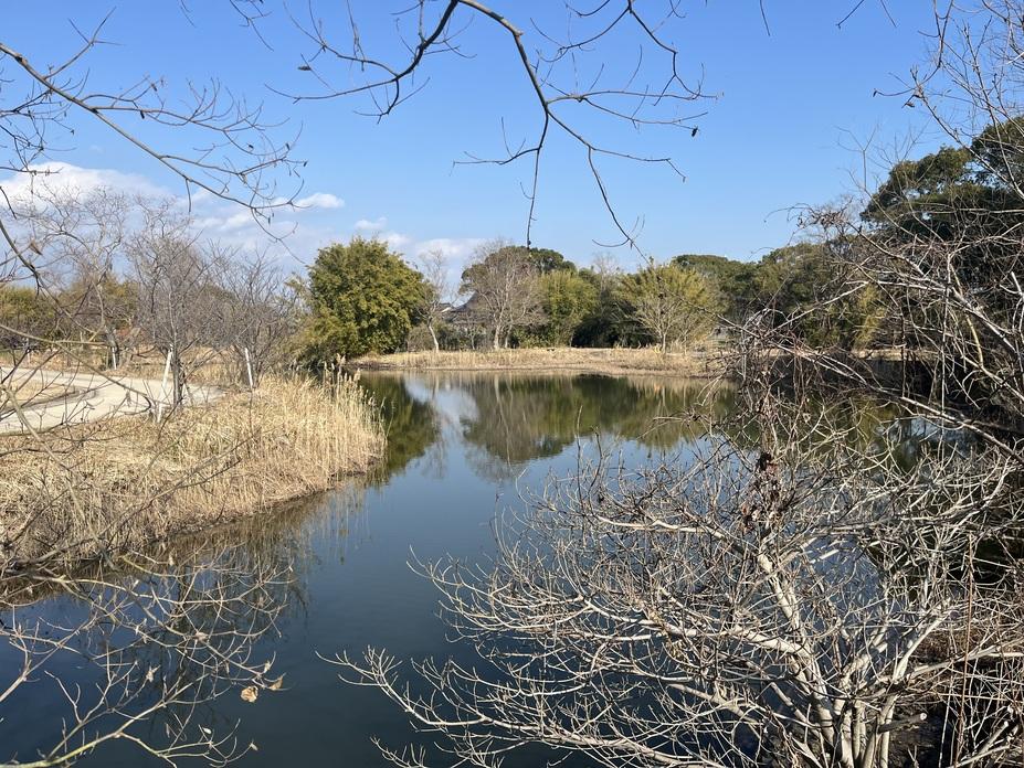 直鳥城
