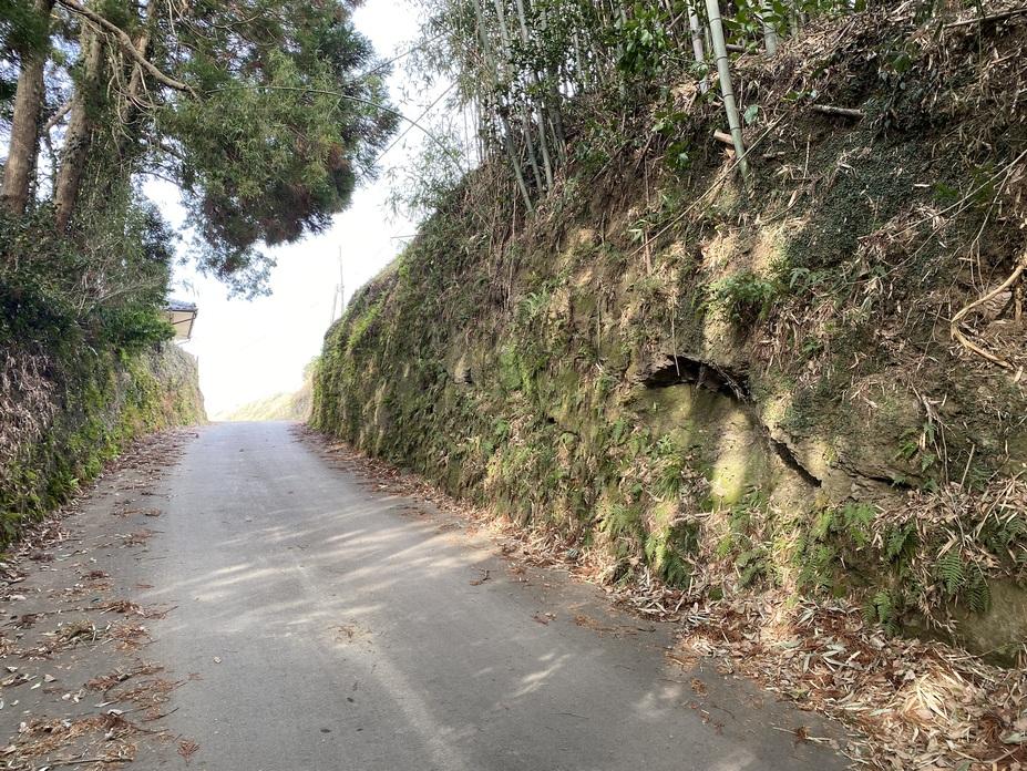 玉岡城