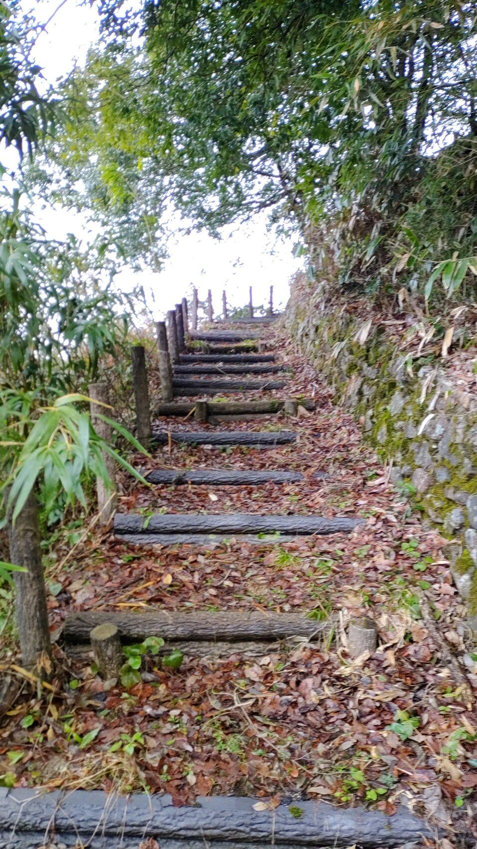 上林城