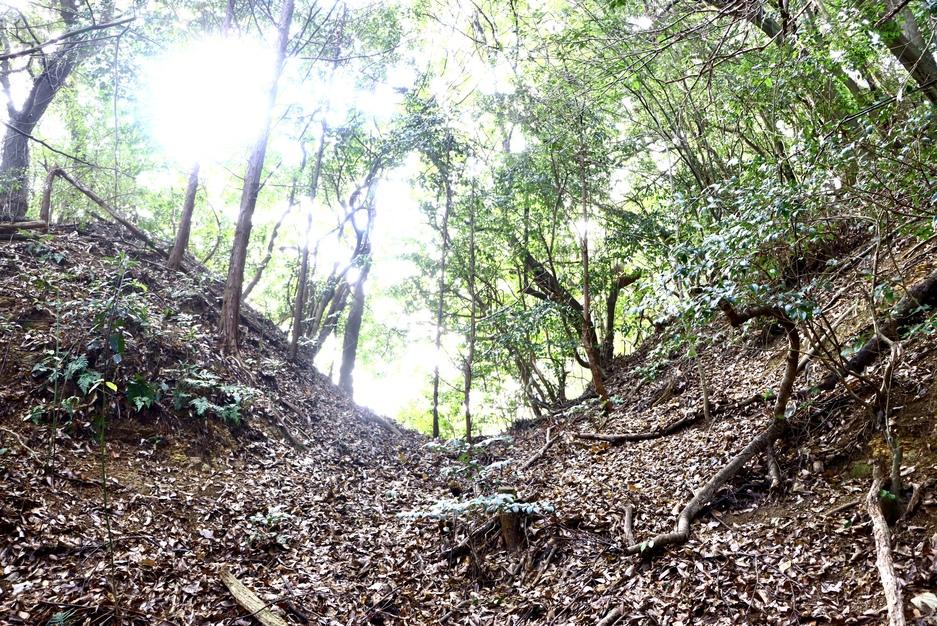 梶峰城