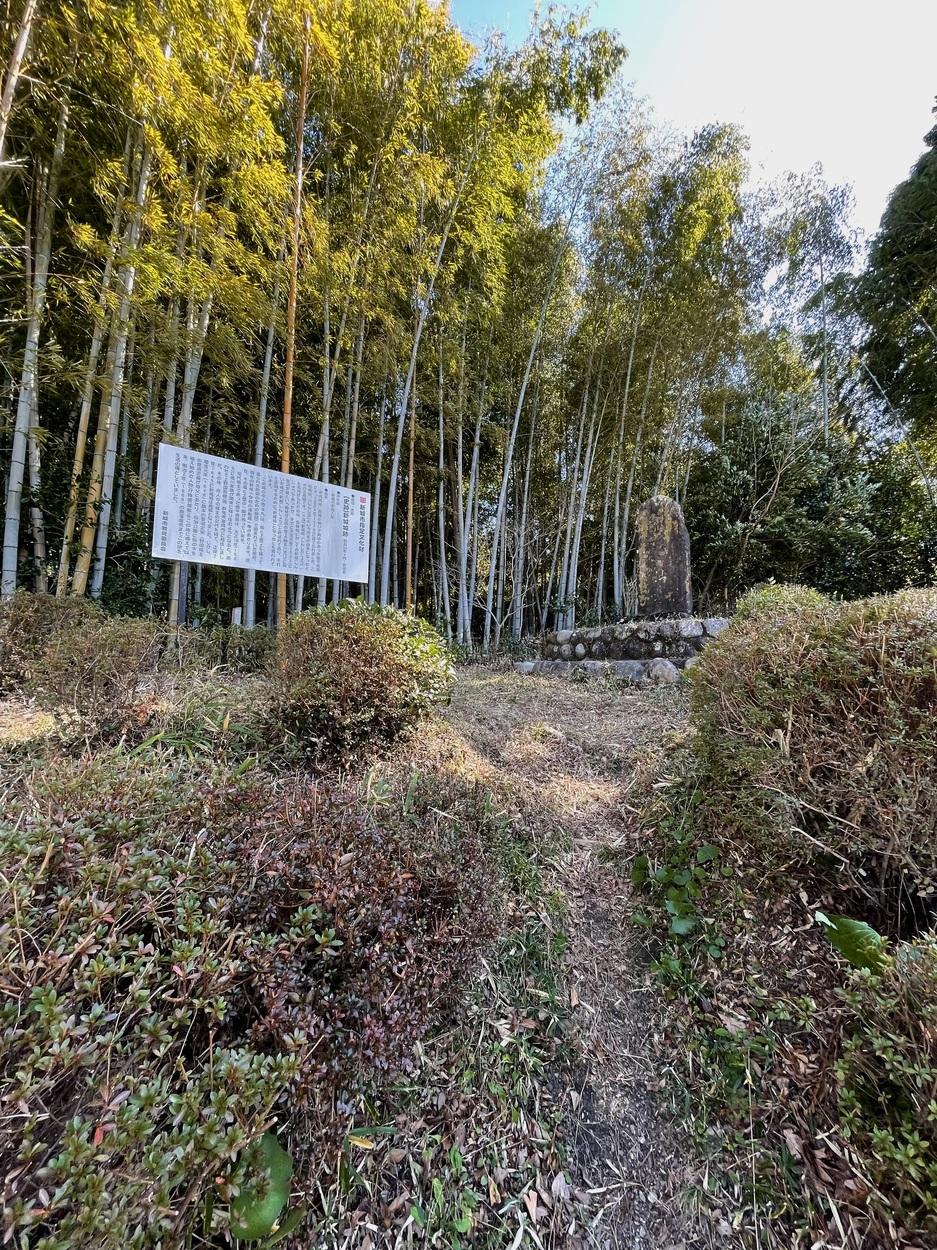 新城城