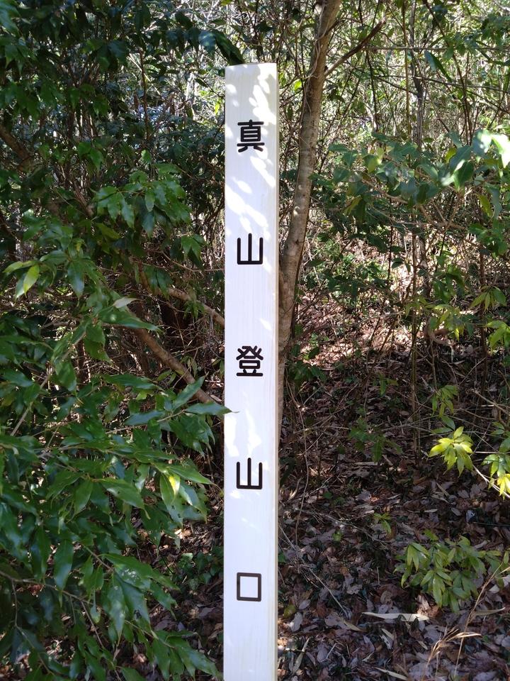 真山城