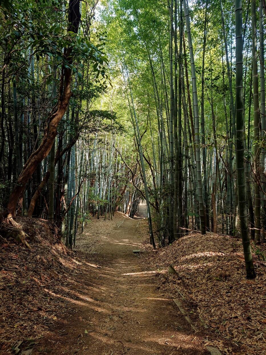国分山城