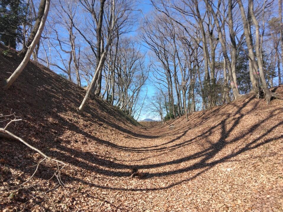勝山城