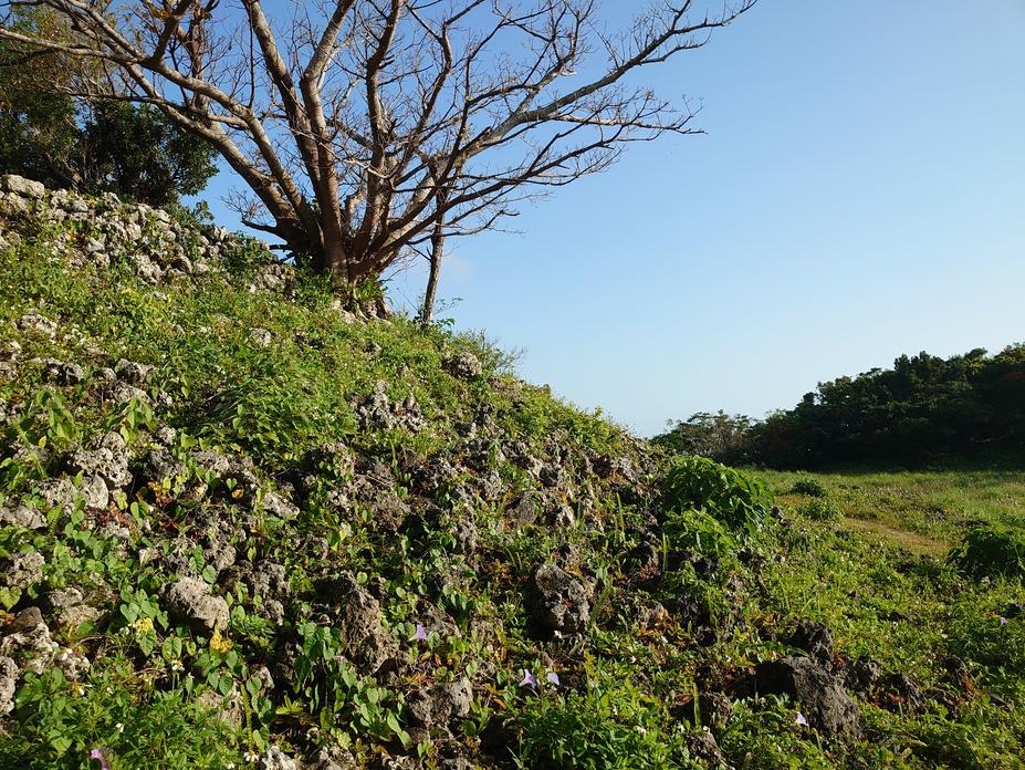 島添大里城