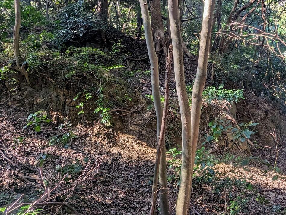 吉良城