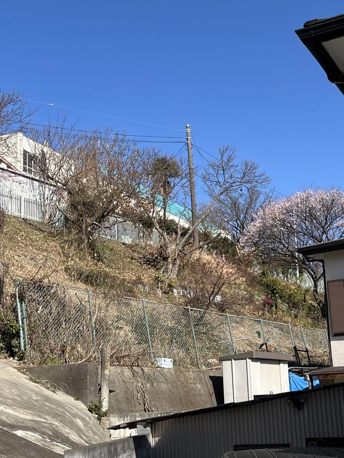 大野城