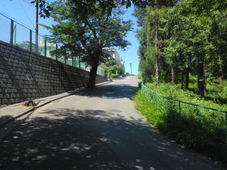 岡津城