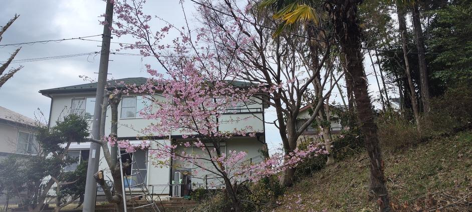 今井城