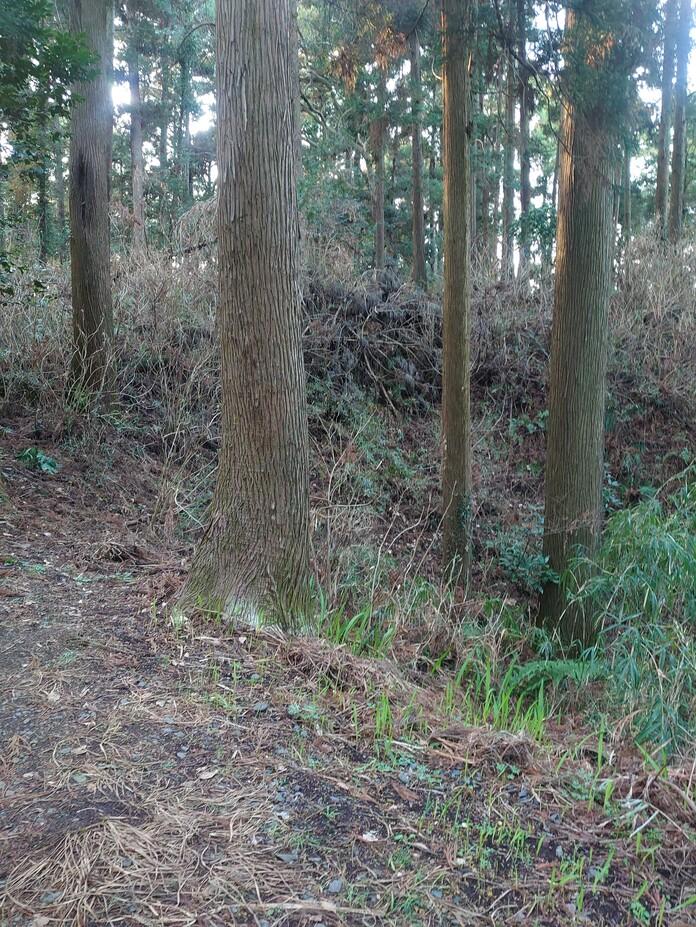 坂田城