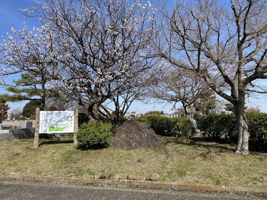 作延城