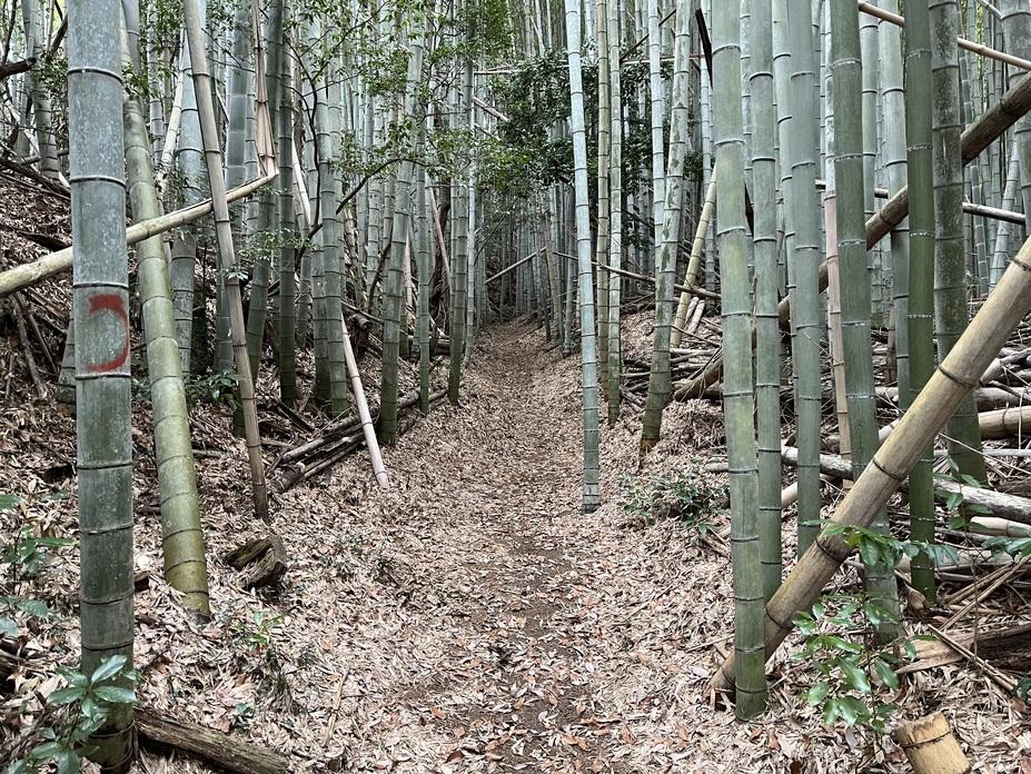 岩野嶽道祖城