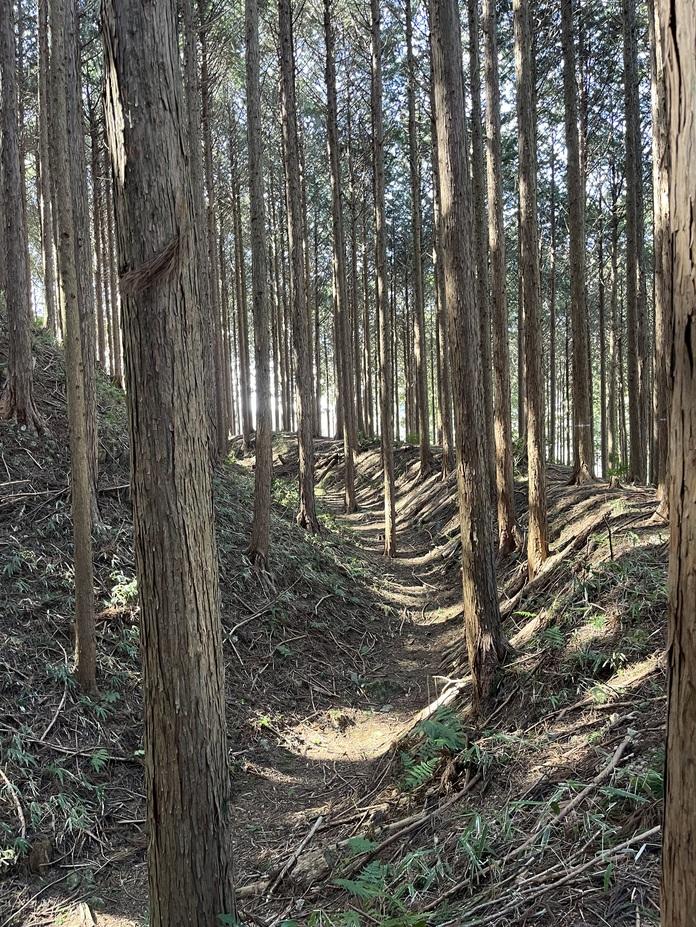 古宮城