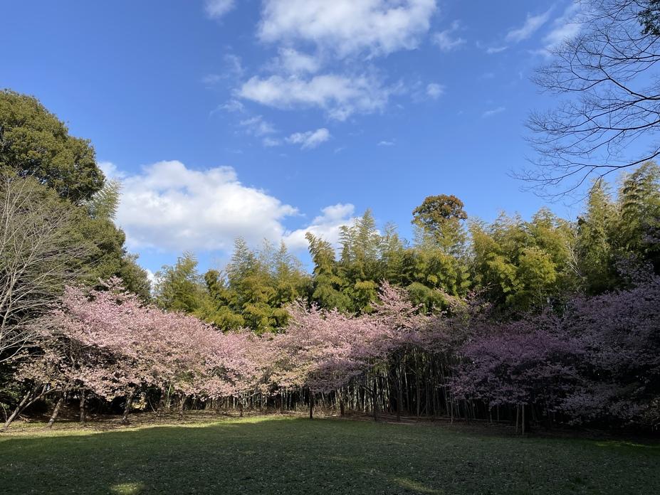 高井城