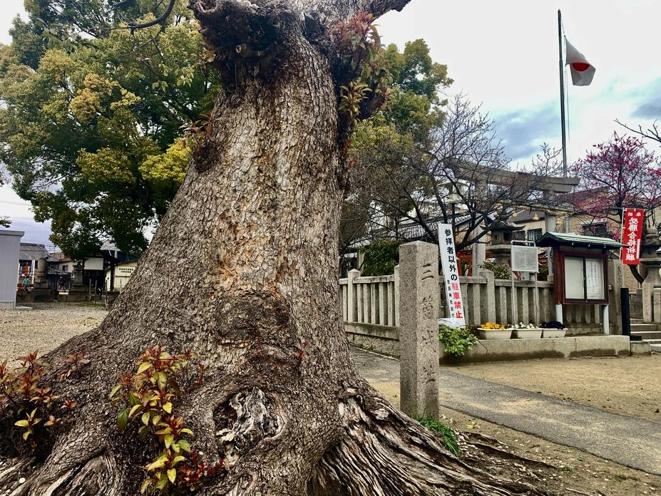 三箇城