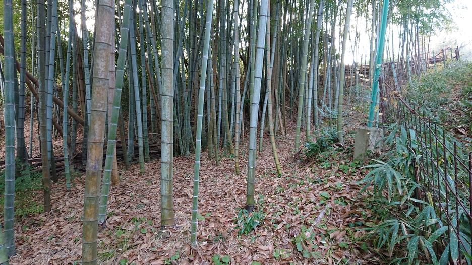 片岡城
