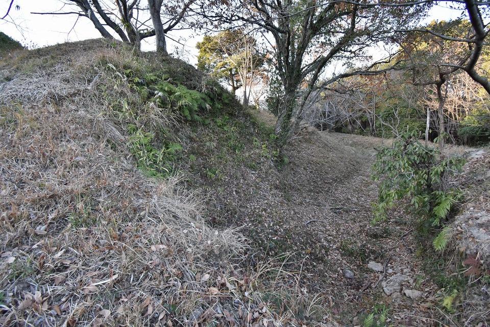 光岡城