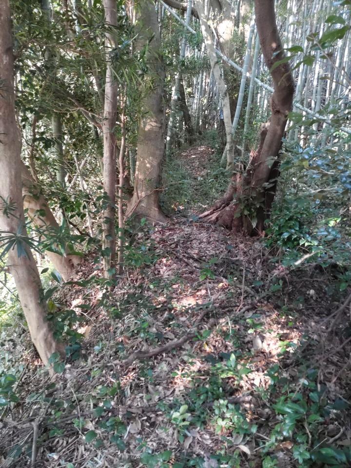 籠手田城