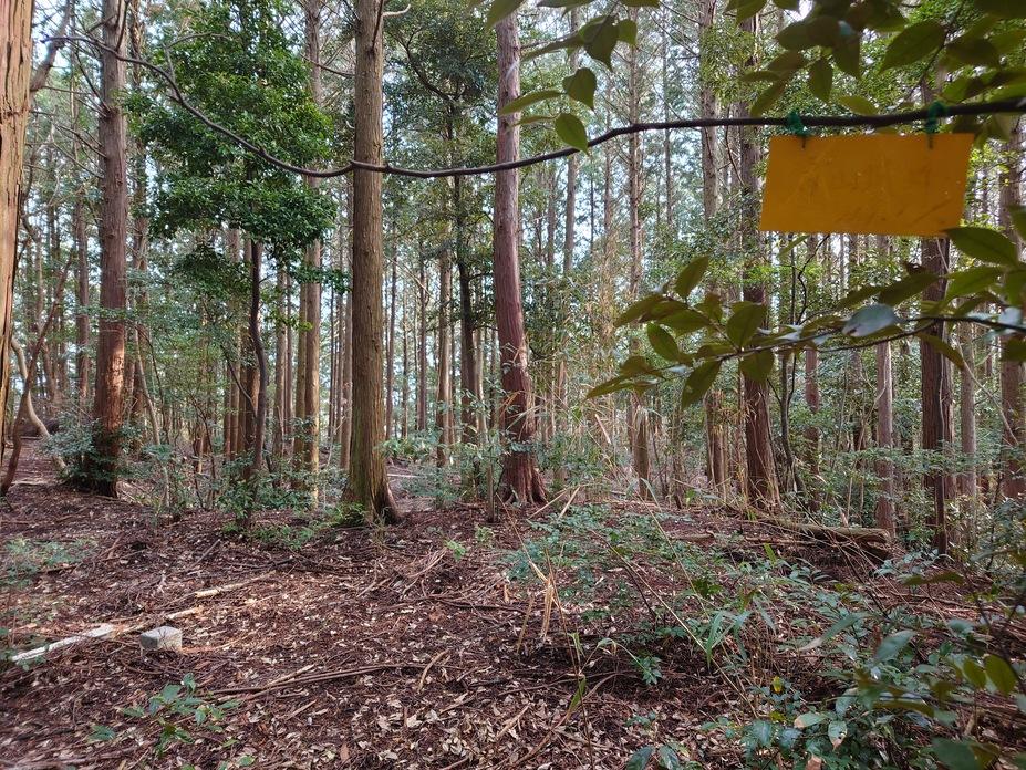 青山城