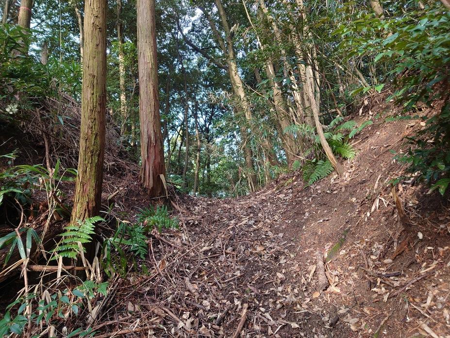 青山城