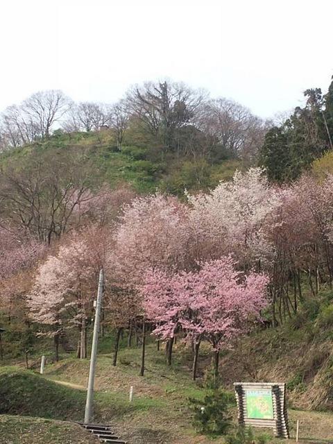 直峰城