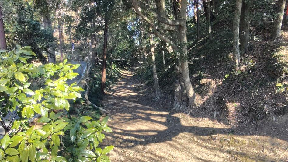 唐沢山城