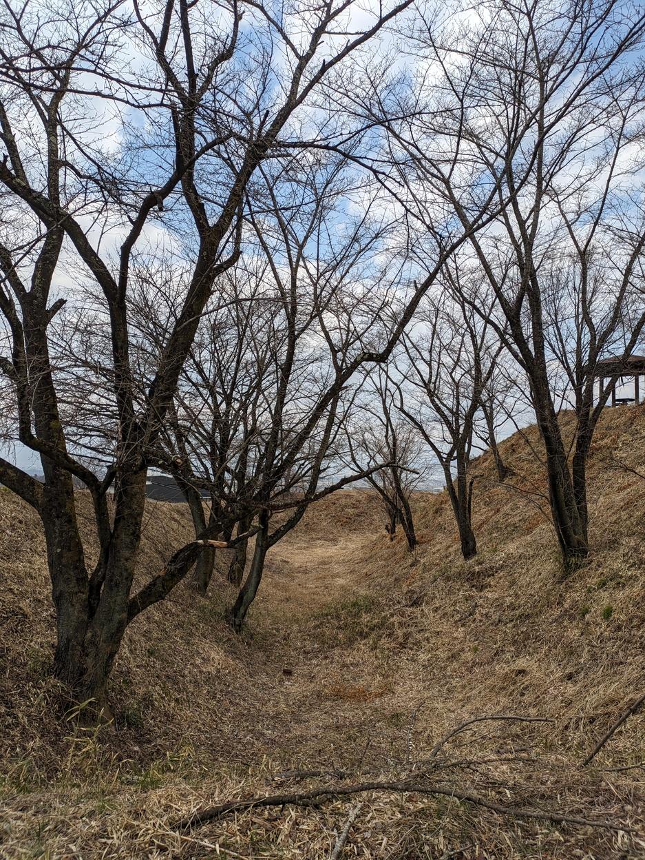 小山城