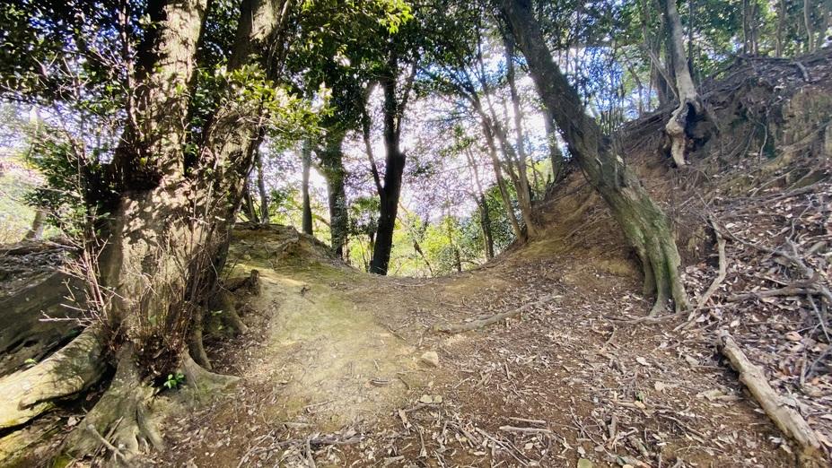 長野氏城館