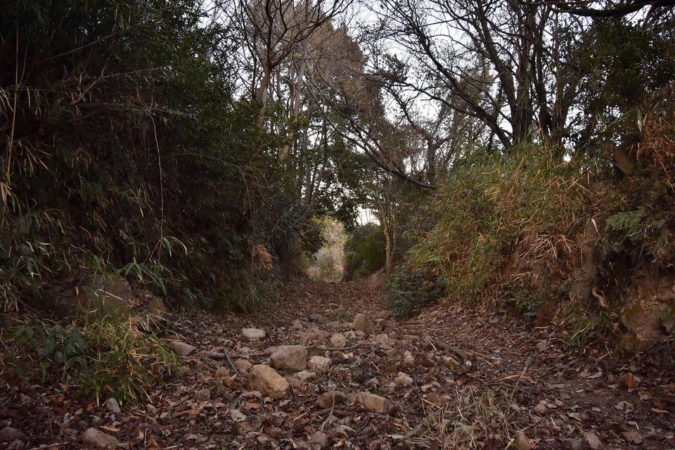 光岡城