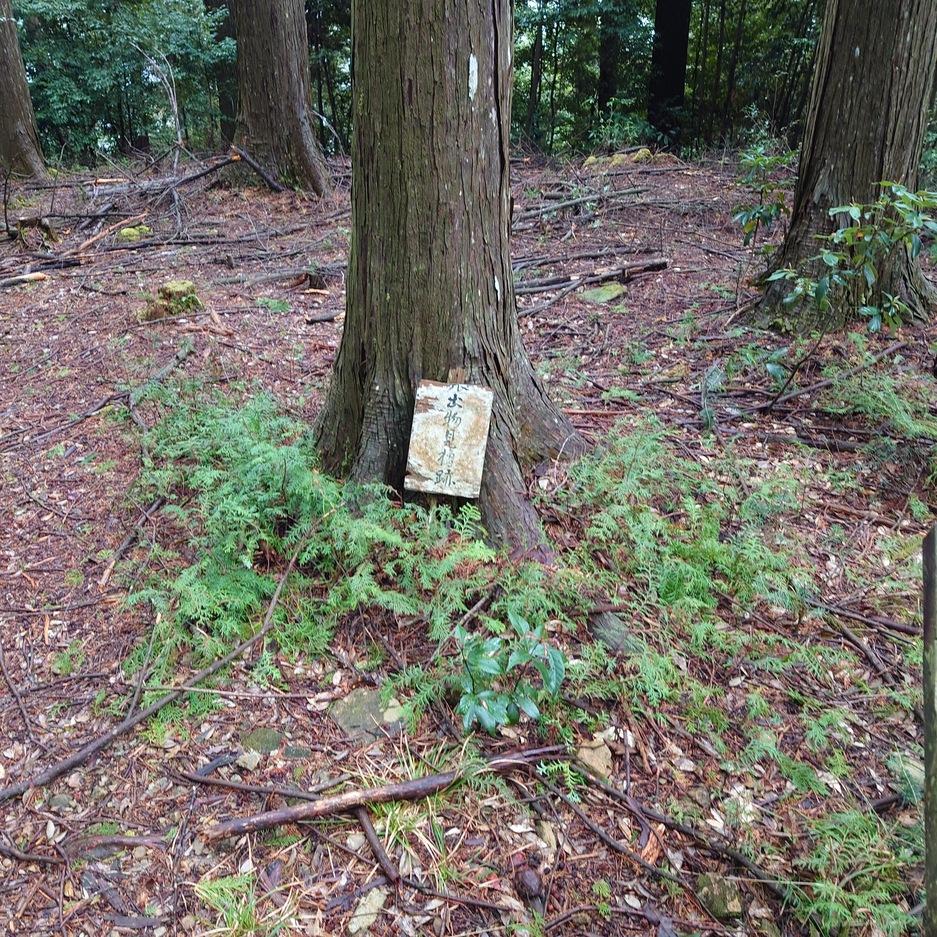 犬居城