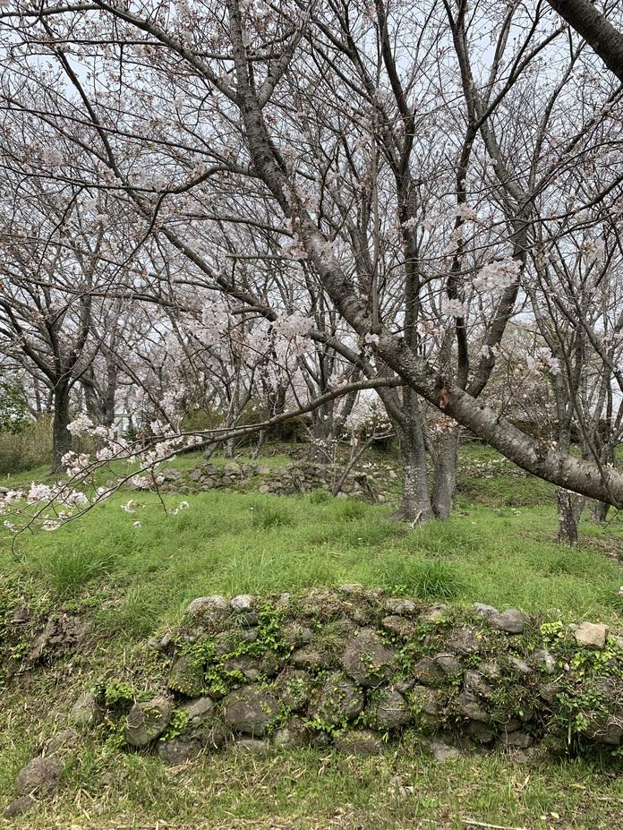 日野江城