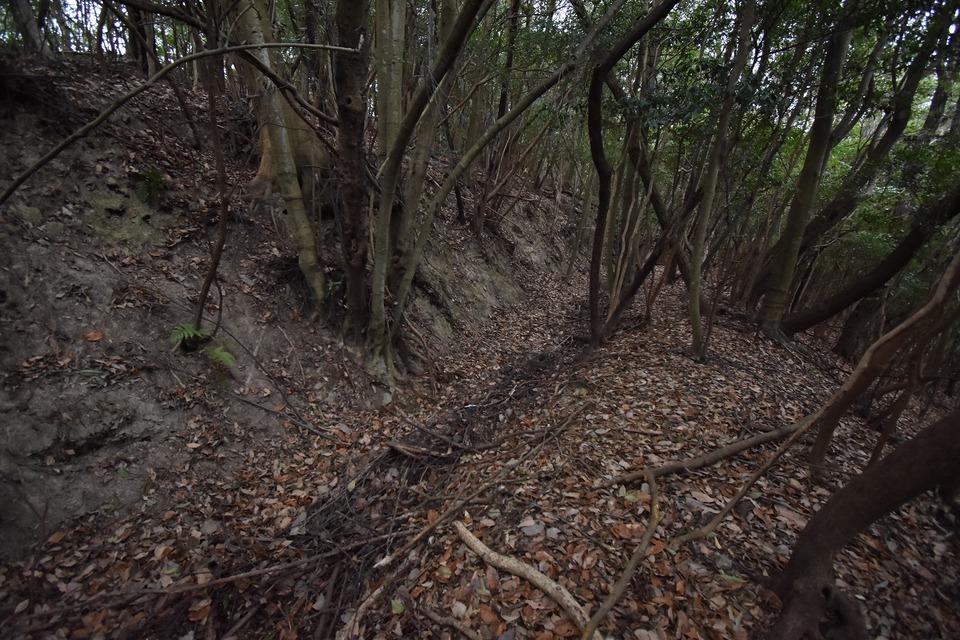 佐田城