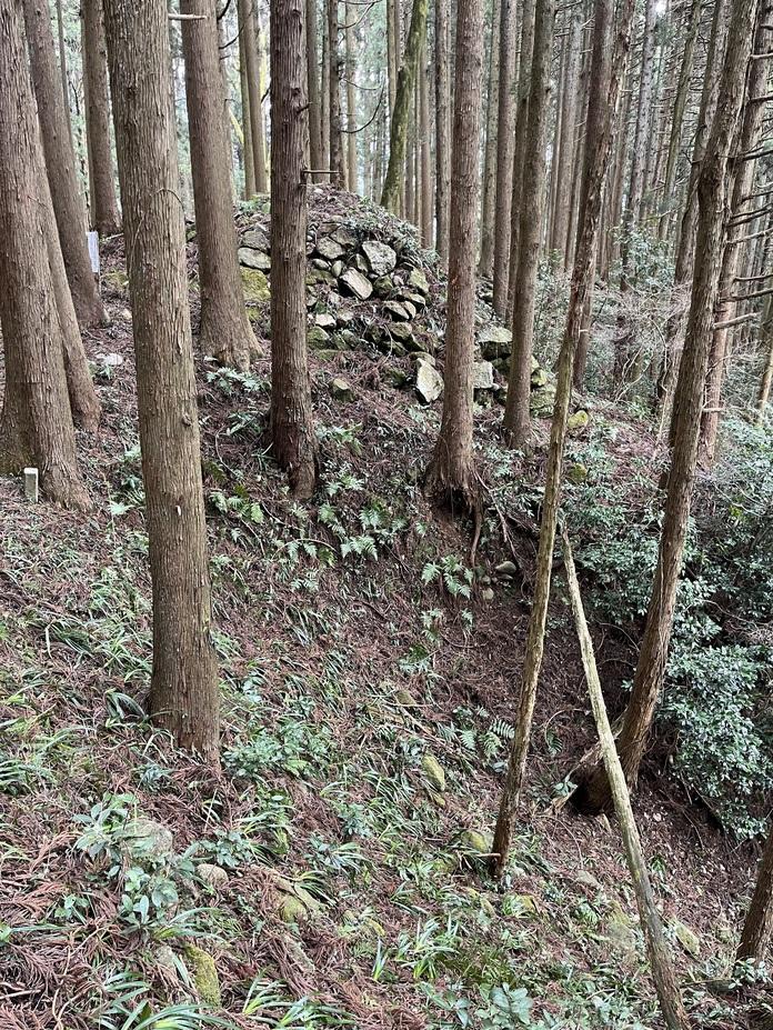 舟岡山城