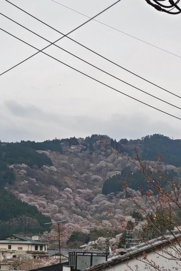 吉野城
